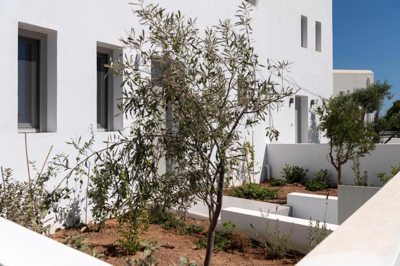 Villa Celia Naousa  Ngoại thất bức ảnh